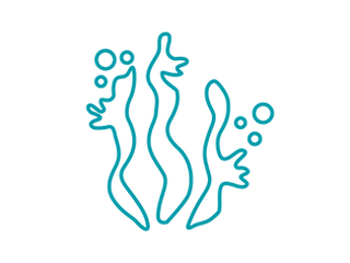 bacteries_SideText