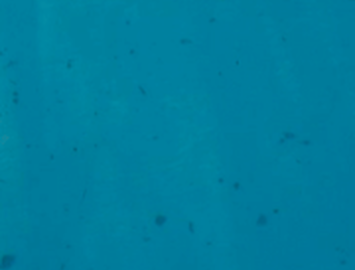 Eau-metallique