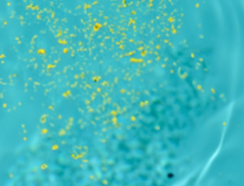 Pollen