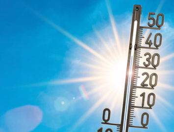 canicule_TeaserHighlight